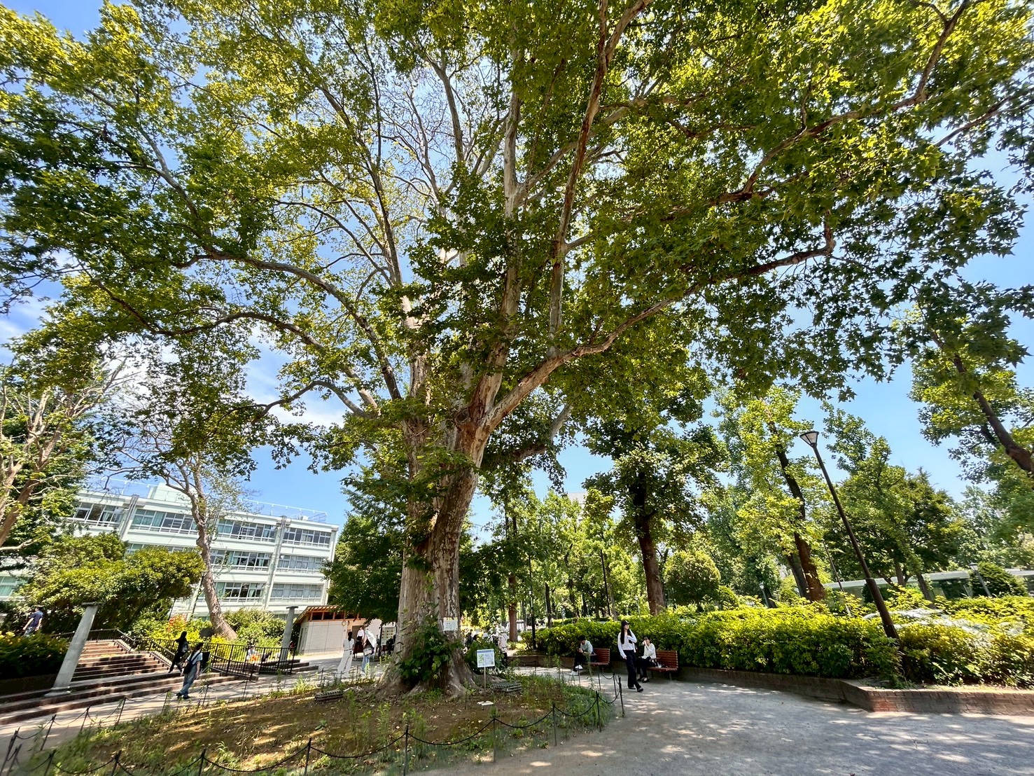 【高田都市Nゼミ】フィールドワーク１班の画像2