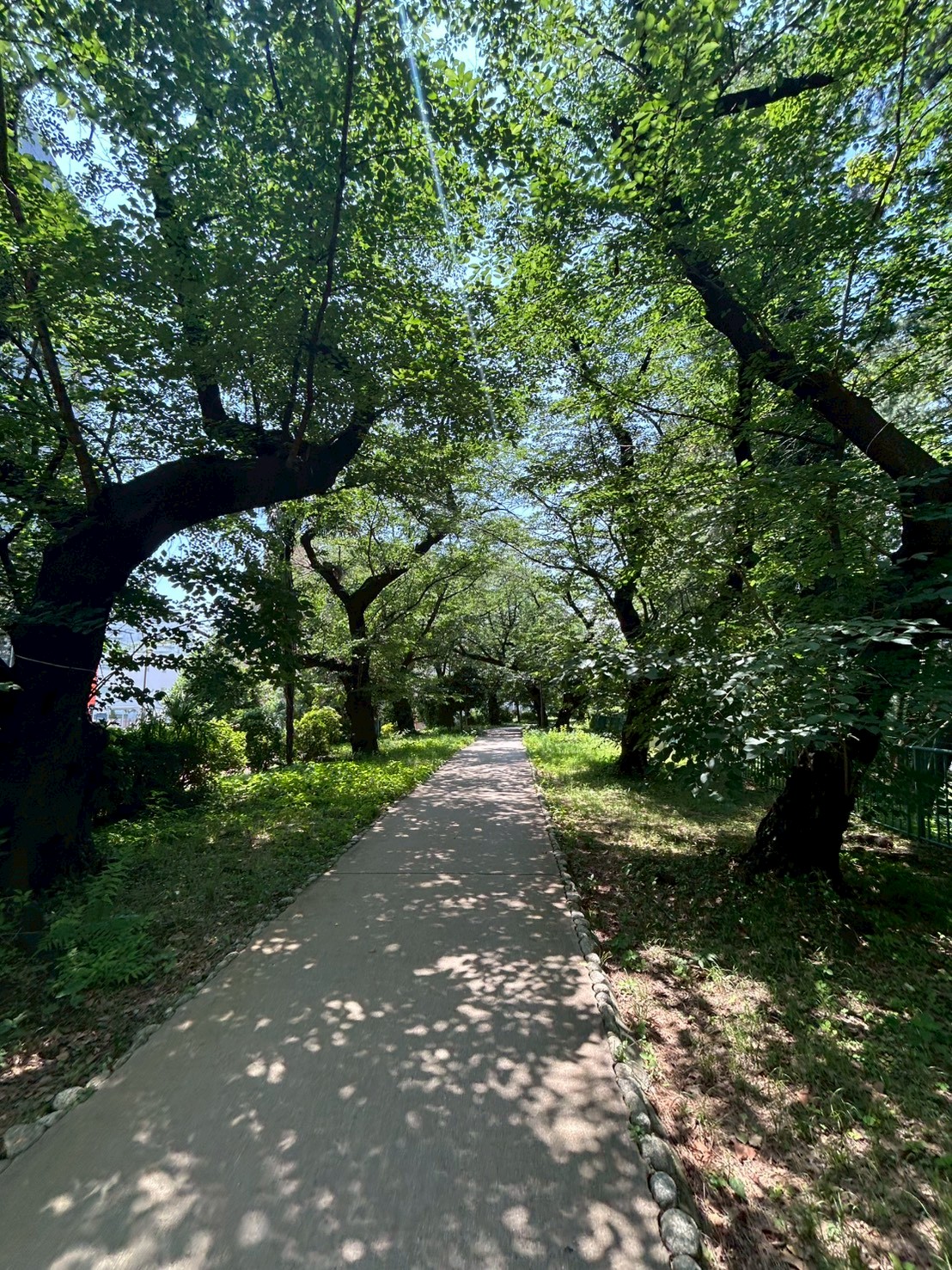 【高田都市Nゼミ】フィールドワーク１班の画像3
