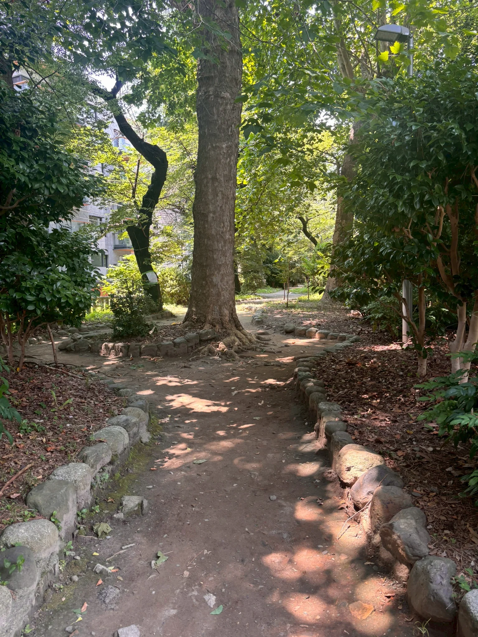 【高田都市Nゼミ】フィールドワーク１班の画像4