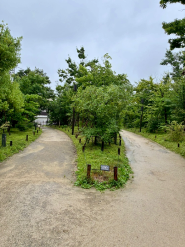 市谷の杜の画像3