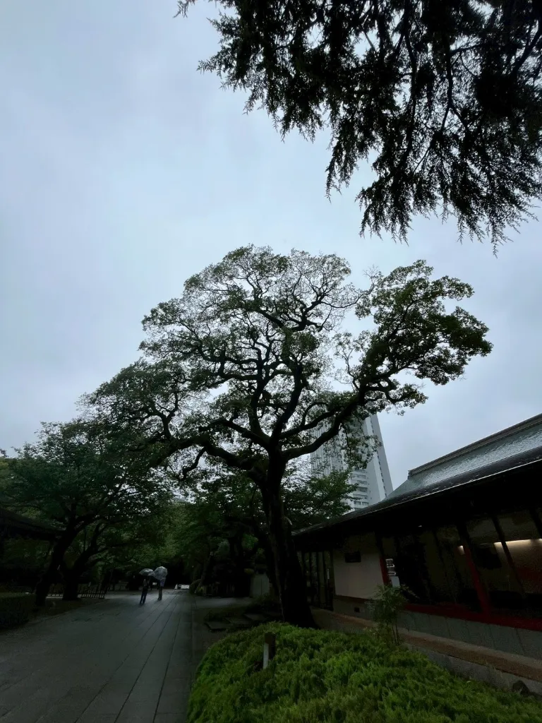 靖国神社の画像3