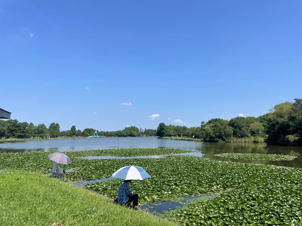 水元公園の画像1