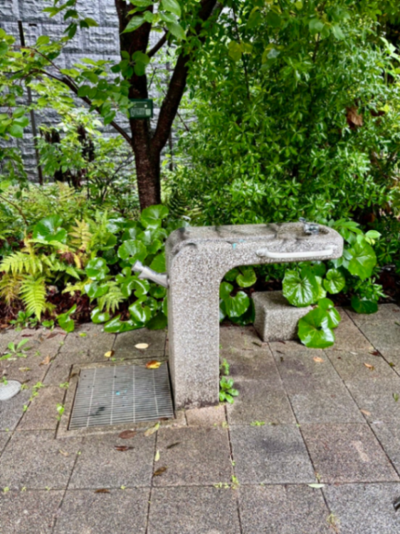 中根坂東公園の画像2