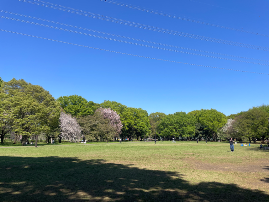 ユーカリ広場の画像1