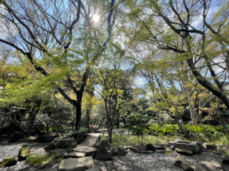 名主の滝公園のサムネイル