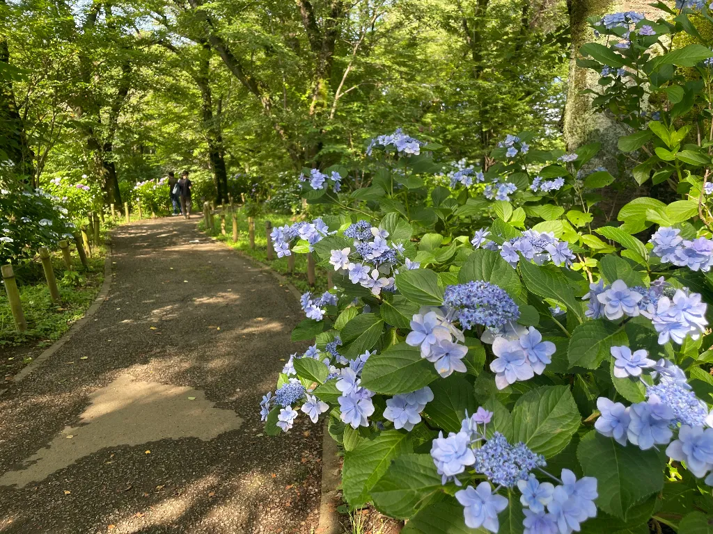 都市緑化植物園の画像1