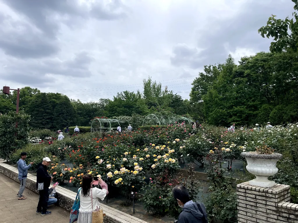 洋風庭木見本園のサムネイル