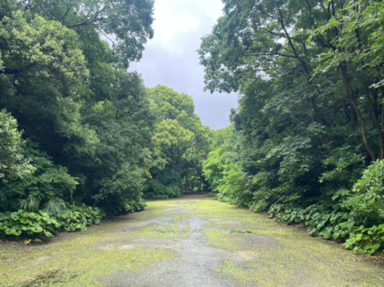 馬場跡のサムネイル