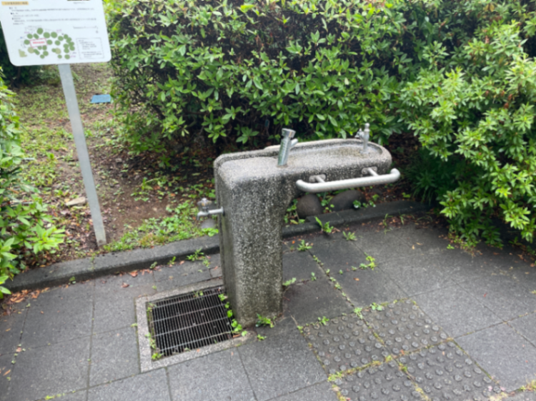 水飲み場のサムネイル