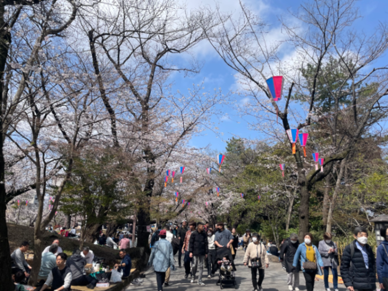飛鳥山公園のサムネイル