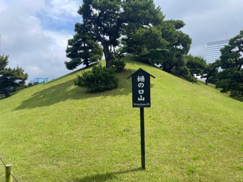 樋の口山のサムネイル