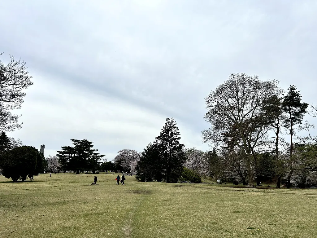 狭山稲荷山公園の画像1