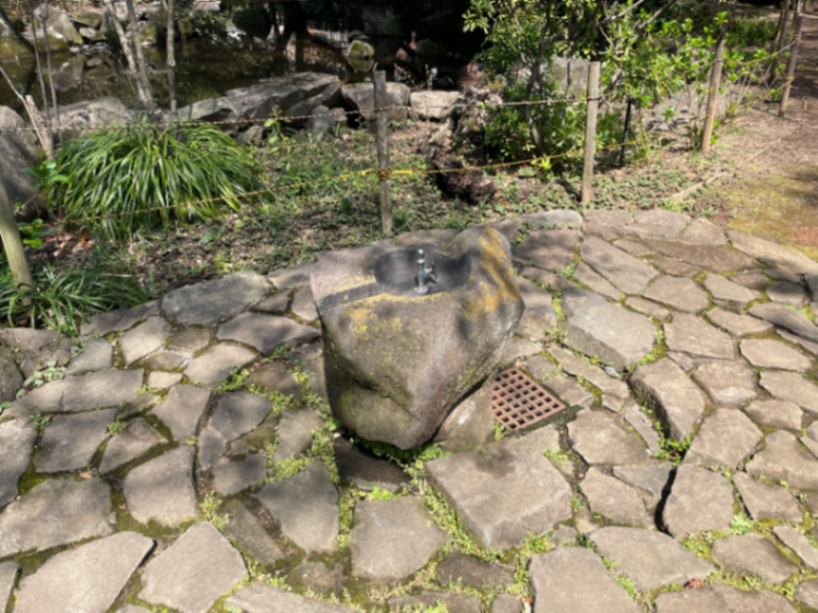 水飲み場のサムネイル