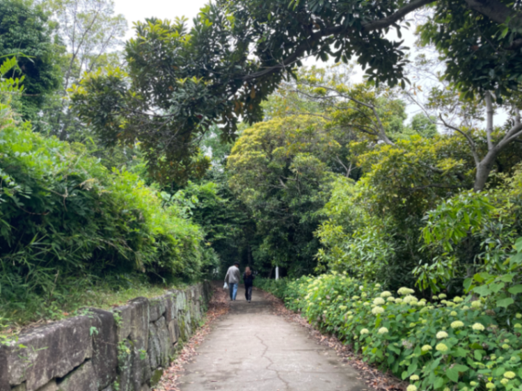 夢の島緑道公園のサムネイル