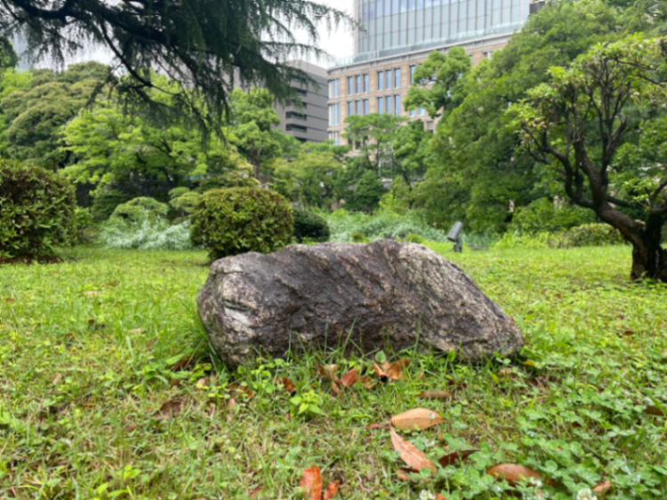 南極の石のサムネイル