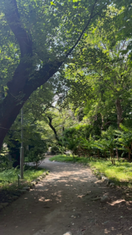 外堀公園のサムネイル