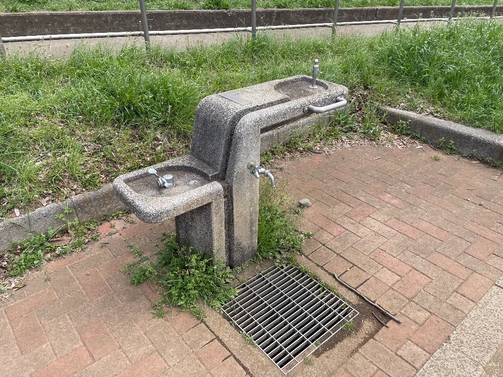 水飲み場のサムネイル
