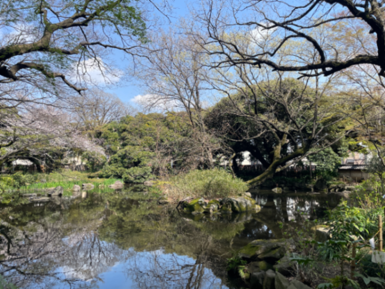 池のサムネイル