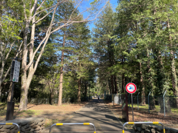 小平口のサムネイル