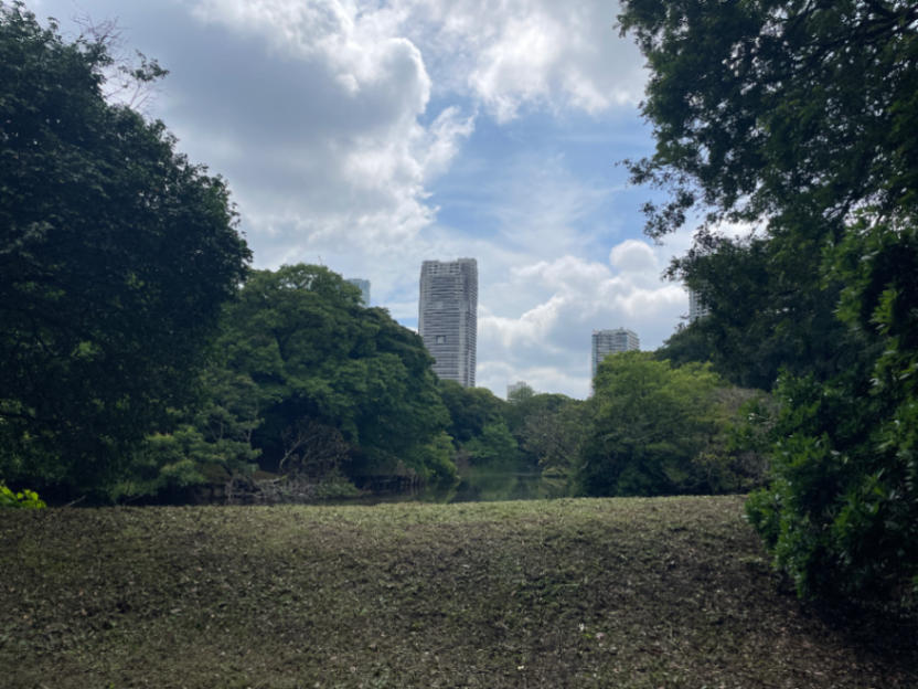 庚申堂鴨場のサムネイル