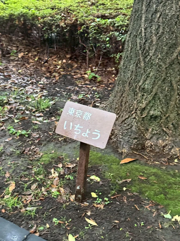 かもめの広場の画像3