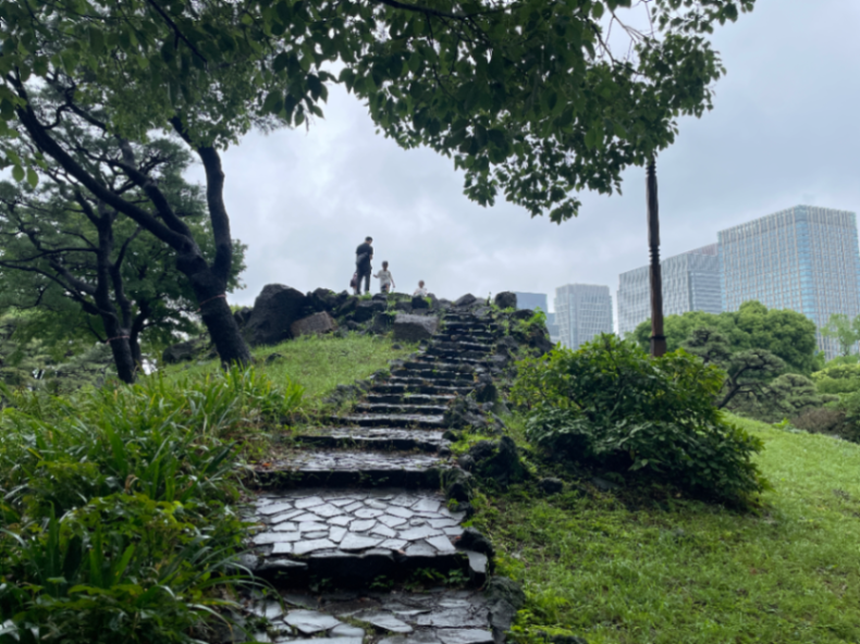 三笠山のサムネイル