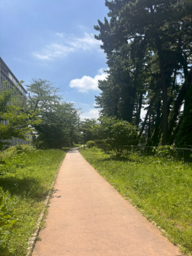 ソフィア散歩道の画像2
