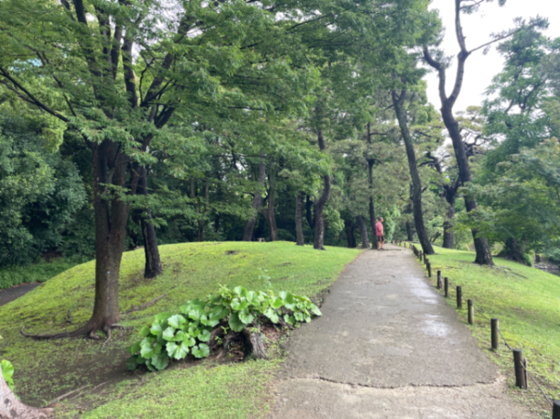 八景山のサムネイル