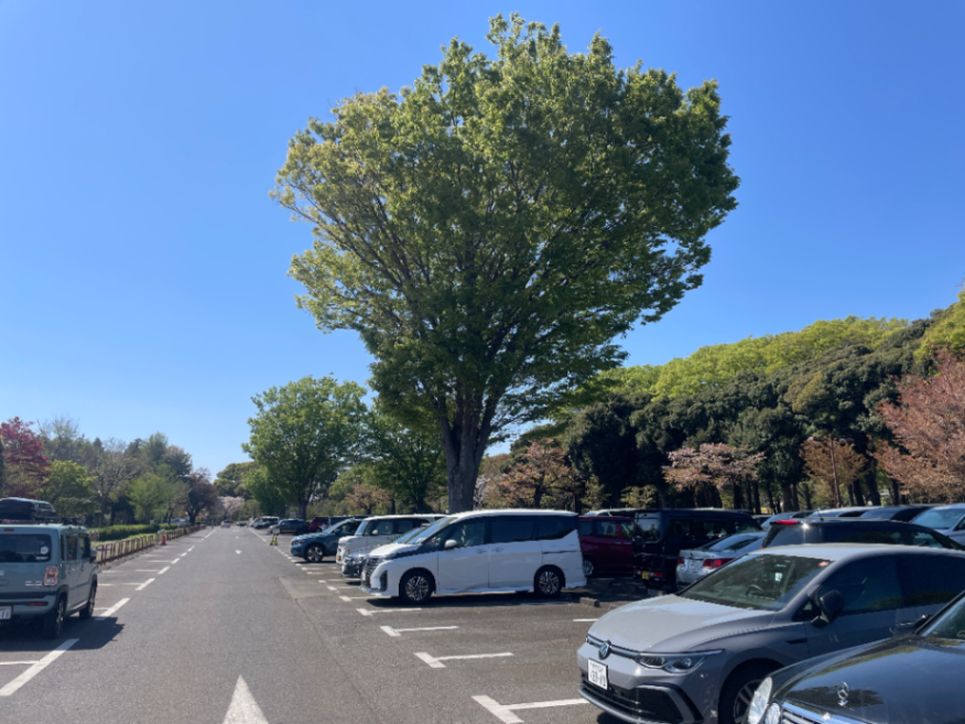 第一駐車場のサムネイル